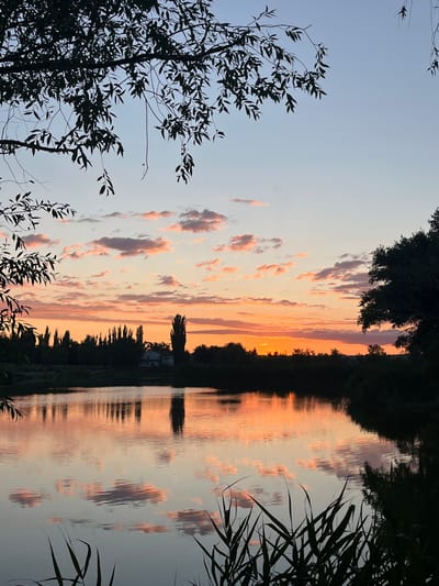 The image depicts a sunset over a body of water, likely a lake or river, in Kotovo, Russia. The sky is painted with warm hues of orange, pink, and yellow, with scattered clouds reflecting the vibrant colors. Silhouetted trees line the opposite bank, creating a dark contrast against the bright sky. A house is visible amidst the trees. The water's surface mirrors the sky and the surrounding landscape, creating a serene and tranquil scene. The foreground is occupied by dark reeds and branches of trees, framing the view. The overall atmosphere is peaceful and picturesque, characteristic of a rural or semi-rural setting during twilight.
