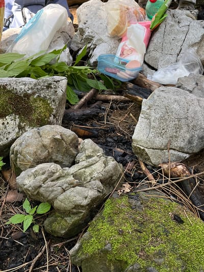 The image shows a pile of rocks and debris, possibly from a campsite or picnic area. There are several food items scattered around, including bread, a packet of chips, and a plastic container with sliced meat and what appears to be an egg. A green bottle and a pink packet are also visible. The ground is covered with dirt, twigs, and burnt wood. Some green plants are growing amongst the rocks. The scene is located outdoors, with natural lighting. The specific location in Petrovac-na-Mlavi Municipality, Serbia, is not discernible from the visual information provided.