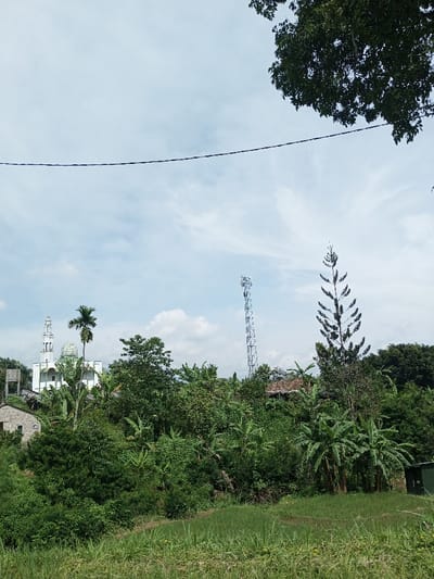 The image depicts a daytime landscape in Kandenuwara, Sri Lanka, under a partly cloudy sky. The foreground consists of a grassy slope with visible paths. The midground is densely covered with various green vegetation, including palm trees and banana plants. On the left, a white mosque featuring a green dome and a tall, white minaret stands on elevated ground. To the left and slightly below the mosque, a light-colored building with a dark roof structure (possibly a water tank tower) is partially visible. On the right side of the midground, a tall, metallic lattice telecommunication tower rises above the foliage, equipped with antenna arrays. A distinct slender, conical tree with sparse branches is positioned immediately to the right of the tower. Further right and partially obscured by trees, a house with a reddish-brown roof is discernible. A small, dark green rectangular structure, possibly a utility box, is located in the bottom right corner. A single dark overhead wire stretches horizontally across the upper sky, with dark green tree foliage visible in the top right corner. No people or overt actions are depicted.