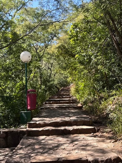 The image depicts a long set of stone stairs ascending a hillside in Salta, Argentina, likely on Cerro San Bernardo. The stairs are bordered on the right by a textured stone wall and on the left by dense green foliage. A trash receptacle and a lamp are visible near the base of the stairs. The lighting suggests a sunny day, casting shadows across the steps and wall.