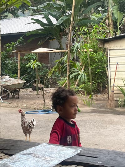 The image depicts an outdoor scene in Desa Batu Layar, Indonesia. In the foreground, the upper portion of a dark wooden surface is visible, with a crinkled, translucent silver-colored object resting on it. A young child with dark, curly hair is positioned to the right of the frame, facing right in profile. The child wears a red long-sleeved shirt with black accents and a white number "9" on the front. Behind the child, a white and brown speckled chicken stands on a dirt path. To the left, a blue hose is coiled on the ground, and a light-colored wheelbarrow filled with granular material is present. The background features lush tropical vegetation, including large-leafed plants resembling banana trees and bamboo. A building with a corrugated metal roof and a visible brick wall section is situated on the left, while another structure with white corrugated metal siding stands on the right, against which a natural-fiber broom is leaned. The ground is a mix of dirt and gravel.