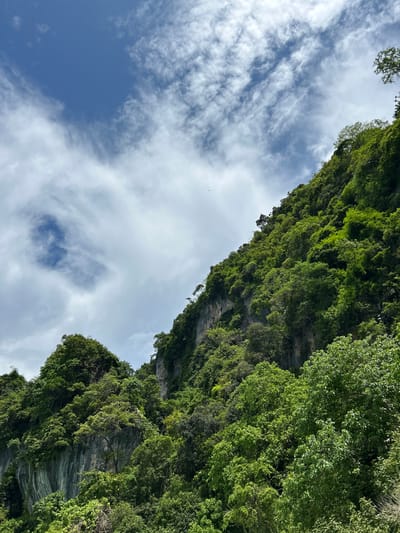 This image depicts a lush, green, mountainous landscape under a partially cloudy blue sky. The steep slopes are densely covered with vibrant green foliage, including trees and smaller plants, clinging to rocky outcrops and sheer cliff faces. The rock formations are visible in places, with a textured, grey appearance. The sky above is a bright blue, scattered with white, wispy clouds that create a dynamic contrast with the greenery below. The overall impression is one of a tropical, natural environment, likely a limestone karst formation commonly found in areas like Krabi province, Thailand, which is renowned for its dramatic coastal scenery and limestone cliffs. There are no people or man-made structures visible in this image.