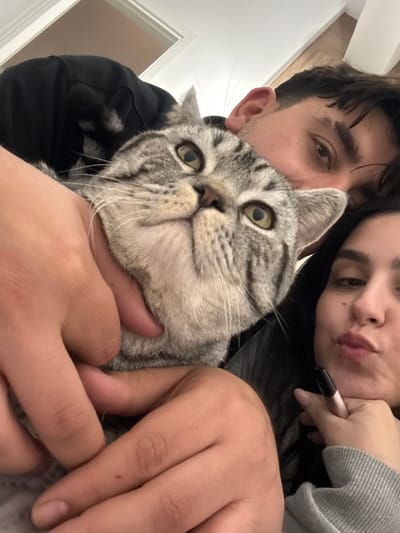 This image captures a close-up indoor scene in Latsia, Cyprus, featuring two human subjects and one feline subject. A tabby cat, characterized by grey and black striped fur and yellow-green eyes, is positioned centrally, looking upwards and to the left of the camera. Its chin is supported by two hands, belonging to a male subject whose face is partially visible in the upper right quadrant, exhibiting dark hair and an eye directed towards the camera. A female subject is present in the lower right quadrant, with long dark hair, her lips pressed together, and holding a black marker pen in her right hand near her chin. The background consists of an indistinct light-colored wall and a portion of a white door frame in the upper left.