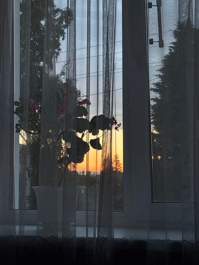 A potted flowering plant with pink blossoms sits on a windowsill behind a sheer white curtain. Through the window, trees and a vibrant sunset sky are visible. The scene suggests an interior view from a residence in Alexeyevskoye, Russia.