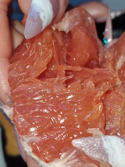 A close-up, overhead view shows a person holding a piece of grapefruit. The grapefruit is segmented, with the juicy flesh exposed and glistening. The person's fingers, adorned with manicured nails featuring white and glittery designs, are visible on the left and right edges of the frame, gently holding the fruit. The background is out of focus and appears to be indoors, with hints of blue and possibly other surfaces. There is no indication of the location being in Fresnes, France.