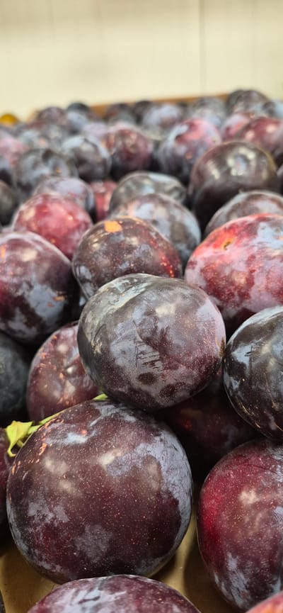 The image displays a close-up, angled view of a large pile of ripe plums. The plums are predominantly dark purple with some reddish hues and have a dusty bloom on their surfaces, indicating freshness. They are densely packed, filling the frame from the bottom to the top, with some out of focus in the background. The lighting suggests an indoor setting, likely a market or grocery store, with a neutral-colored background that is blurred. There are no people or specific architectural elements visible that would allow for precise location identification within Navalcarnero, Spain. The focus is entirely on the texture and color variations of the fruit.