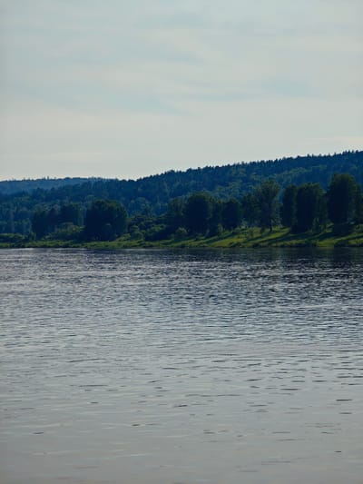 The image depicts a wide, calm river flowing in front of a densely forested hillside. The water is a dark, reflective gray, with subtle ripples distorting the reflections of the trees and sky. The hillside is covered in a thick expanse of green trees, with a darker line of coniferous trees forming the crest of the hill. The sky above is a pale, hazy blue with scattered, wispy clouds. The scene is tranquil and natural, suggesting a location outside of a densely populated urban area. The image is taken from a low vantage point, likely from a boat or the riverbank. There are no people or man-made structures visible in the frame. The city of Predivinsk, Russia, is a port city located on the Kan River, which flows into the Angara River. This image is consistent with the natural landscape surrounding such a river.