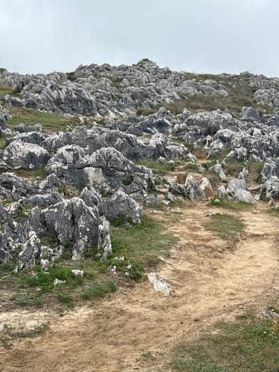 The image depicts a steep, rocky incline with sparse vegetation. The primary subject is the natural landscape, characterized by jagged grey rocks of various sizes, interspersed with patches of dry, golden-brown grass and some areas of green foliage. The terrain appears rugged and uneven, suggesting a challenging natural environment.

The scene is devoid of any people or man-made objects, except for a small piece of white debris, possibly plastic, visible in the lower right portion of the image, near a patch of grass. The overall impression is one of a wild, uncultivated area.

The time of day is suggested by the lighting, which appears to be overcast or diffused, as there are no harsh shadows. The sky, visible in the upper left, is a pale, uniform grey, indicating cloudy weather. There are no specific location cues in the image itself, but contextually, it is identified as Llanes, Spain.

The activity taking place is simply the existence of the natural landscape. There is no action or event, only the static presence of rocks, grass, and the sky. The notable details are the texture and form of the rocks, the contrast between the rocky and grassy areas, and the muted color palette. The emotions evoked are likely ones of ruggedness, natural beauty, and perhaps a sense of isolation.

There is no visible text in the image.