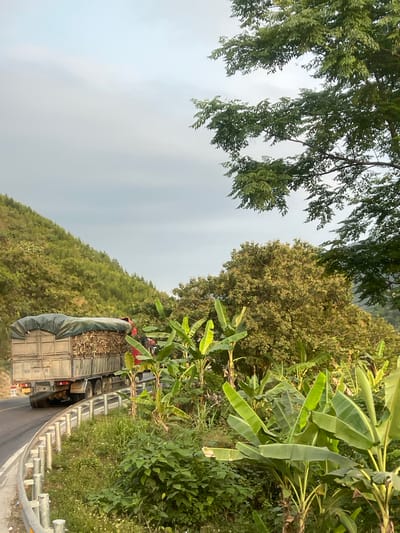 The image shows a truck on a road in Aê Thi, Vietnam. The truck appears to be loaded with some sort of agricultural cargo covered with a tarp. The road curves along a hillside covered in dense vegetation, including banana plants and other trees. There are guardrails along the road's edge. The sky is overcast.