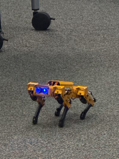 The image displays an indoor scene featuring a small, yellow quadrupedal robot. The robot is positioned on a grey, textured surface, likely a carpet or similar flooring. Its body appears to be constructed from yellow components, possibly PCB boards, with visible circuitry and wiring, suggesting it is a prototype or custom-built device. It has four black legs, typical of a robot dog design. On the front of the robot, two distinct, bright blue lights are illuminated, indicating it is powered on or in an active state.

To the left of the robot, a portion of a black cylindrical object is visible, from which a thin rod extends vertically. The exact nature or function of this object is unclear, but it could be part of another piece of equipment, a stand, or a sensor.

The robot appears to be stationary, not actively performing any specific task within the frame. No people are visible in the image, and no discernible text can be read on any of the objects. The lighting conditions suggest an indoor environment, where the blue lights on the robot stand out prominently. Given the location context of Rochester, United States of America, the scene might be a laboratory, workshop, or educational setting where robotics research or development is conducted.