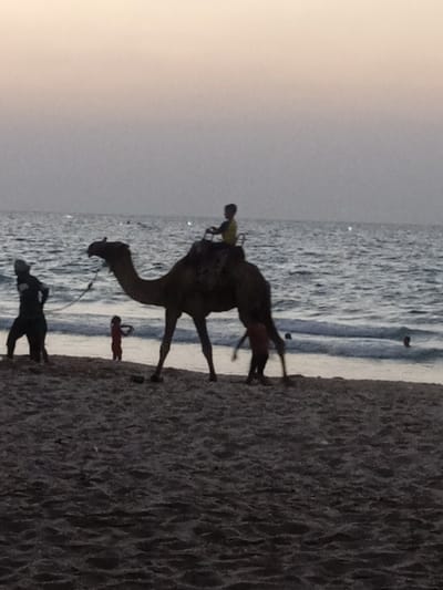 The image depicts a beach scene at dusk or dawn in the city of Al-Mawasi, Palestinian Territories. A dark-colored dromedary camel stands on the sandy shoreline at the water's edge, oriented towards the left. A child in a yellow shirt is seated on a saddle affixed to the camel's hump, holding onto its front handles. An adult in dark clothing is positioned to the camel's left, holding a rope attached to the camel's head, indicating control. Two additional children are visible near the camel: one in a red top stands near the camel's front legs, partially in the shallow water, and another child stands near its hind legs. Further right, a person is partially submerged in the ocean. The background consists of a calm ocean with small waves, extending to a faint horizon under a gradient sky of light orange and grey. Faint white specks, likely distant lights, are visible on the water's surface. The foreground is composed of damp sand.