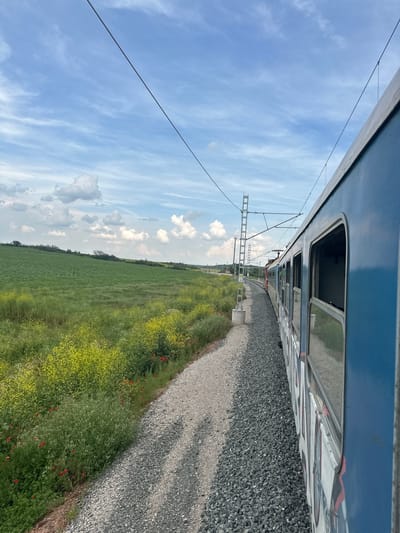 This image presents a side view from a blue passenger train, depicting a rural landscape near Malko Tranovo, Bulgaria. The train's exterior features visible graffiti on its lower section, and reflections are present in its windows. To the left, a gently rolling green field extends into the distance, interspersed with bright yellow wildflowers, likely rapeseed, and scattered red poppies along the immediate railway embankment. The train runs on a gravel-ballasted track that exhibits a gentle curve to the left, with an additional red and orange train car visible further along the track. Overhead electrical lines are supported by multiple catenary poles, one of which displays the numbers "74 29" on a white sign. The sky above is light blue with scattered white cumulus and cirrus clouds. The scene is illuminated by bright daylight. No individuals are visible.