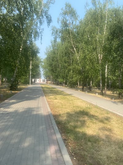 The image depicts a sunlit, tree-lined pathway in Mamontovo, Russia, likely a park or memorial site. The pathway, constructed of grey and pink paving stones, is bordered by a strip of dry, yellowed grass on the right and a lush green lawn and trees on the left. A woman in dark clothing is walking away from the camera down the path. In the distance, a large, monument-like structure with images or inscriptions is visible, flanked by more trees and what appear to be small, concrete grave markers. The sky is clear and blue.