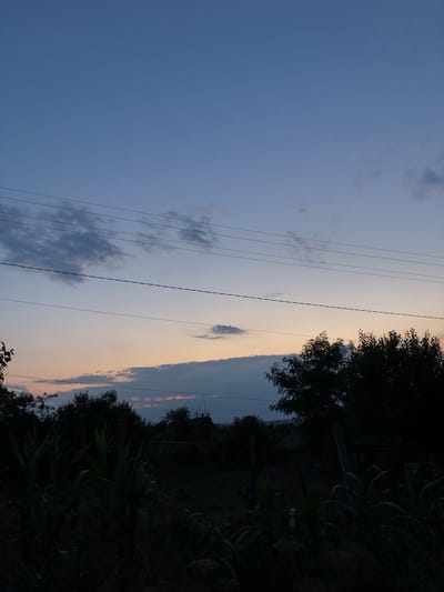 The image depicts a twilight scene in Calfa, Moldova. The sky is a gradient of deep blue at the top, fading to pale orange and pink near the horizon, with scattered clouds. Several power lines stretch horizontally across the upper portion of the image. In the foreground and midground, silhouetted against the sky, are dark masses of trees and foliage, including what appears to be corn stalks in the lower left. A rudimentary fence and some indistinct structures are visible in the background, suggesting a rural or semi-rural setting. The lighting indicates that it is either dawn or dusk, with the sun below the horizon. No people or specific actions are depicted.