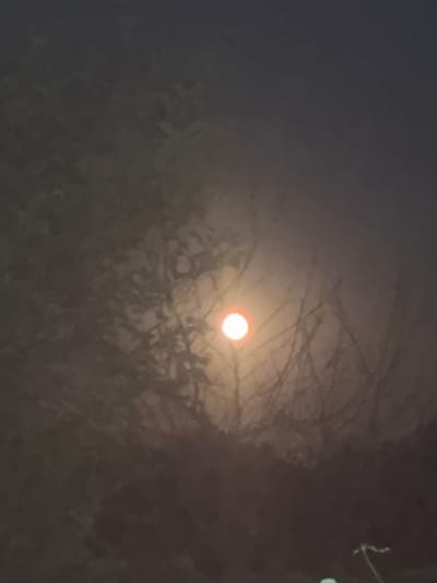 The image captures a nighttime scene, possibly in or around Velykyi Sukhodil, Ukraine. A bright, reddish-orange orb, likely the moon or a strong light source, is visible in the upper center, partially obscured by tree branches. The foreground and surrounding areas are dark and indistinct, with shadows and the silhouettes of trees and foliage creating a muted, somber atmosphere. The overall impression is one of a dimly lit, natural or semi-natural environment at night.