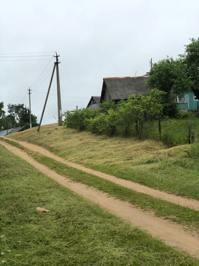The image depicts a rural scene in Staroe Istomino, Russia, under an overcast sky. A dirt road with two tracks winds its way up a grassy slope. To the right of the road, on the upper part of the slope, are several structures. The most prominent is a building with a grey, corrugated roof and wooden walls. To its left, another building with a similar roof is partially visible. Behind these buildings, lush green trees and bushes are abundant. Power lines run across the scene, supported by tall utility poles. The ground on the slope appears to have recently been mowed, with swathes of cut grass visible. In the foreground, on the left side of the road, a light-colored, shapeless object lies in the longer grass. The overall impression is one of a quiet, rural settlement on a cloudy day.