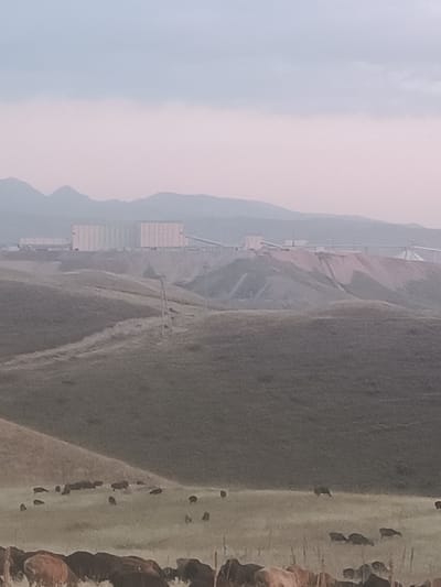 The image depicts a pastoral landscape with a large industrial facility in the background. The foreground shows a herd of bison grazing in a grassy field. The bison are varied in size and color, with some appearing to be adults and others younger. They are scattered across the field, some with their heads down grazing, while others are standing or walking.
In the mid-ground, rolling hills covered in vegetation rise towards the industrial complex. A dirt road or path winds its way up one of the hills. The industrial facility itself consists of several large, light-colored buildings that appear to be storage silos or processing plants. There are also conveyors and other industrial structures visible. The facility is situated on a reddish-brown, disturbed landscape, suggesting mining or quarrying operations.
The background features hazy mountains under a pale sky. The sky transitions from a light blue at the top to a soft pinkish hue near the horizon, suggesting either dawn or dusk. The overall atmosphere is somewhat muted and tranquil, despite the presence of the industrial development. The light suggests it is either early morning or late evening. No people are visible in the image, and no text is discernable. The location context provided is Almalyk, Uzbekistan.