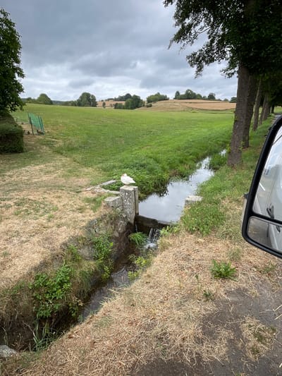 The image depicts a cloudy day in Görzhain, Germany, with a rural landscape. In the foreground, a narrow, shallow stream flows from left to right. On the left bank of the stream, dry, yellowish grass covers the ground, interspersed with green vegetation. A white duck is perched on a grey, stone structure built into the bank, adjacent to where the stream goes over a small drop, creating a miniature waterfall. On the right bank of the stream, lush green grass and vegetation grow, and several trees with dark bark line a paved road. A black side-view mirror, likely from a vehicle, is visible in the lower right corner, reflecting a portion of the sky and surrounding trees. In the background, rolling green hills and fields stretch towards the horizon, dotted with trees and under a grey, overcast sky. A green fence enclosure can be seen in the far left of the image, with several ducks inside.