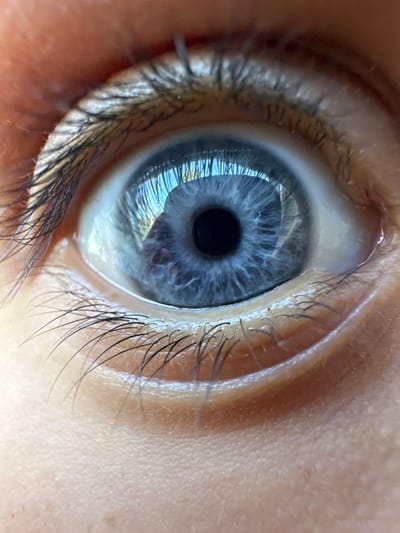 This close-up image, observed in Grünwald, Germany, depicts a single human eye. The iris is blue with intricate radial patterns, surrounding a centrally located, dark black pupil. The white sclera is visible to the lateral aspects of the iris. Long, dark eyelashes line both the upper and lower eyelids. The skin around the eye is a light, even tone, showing minor textural details. A distinct reflection within the iris and pupil reveals a clear blue sky and dark, amorphous shapes consistent with tree branches or foliage, indicating an outdoor, daytime environment.
