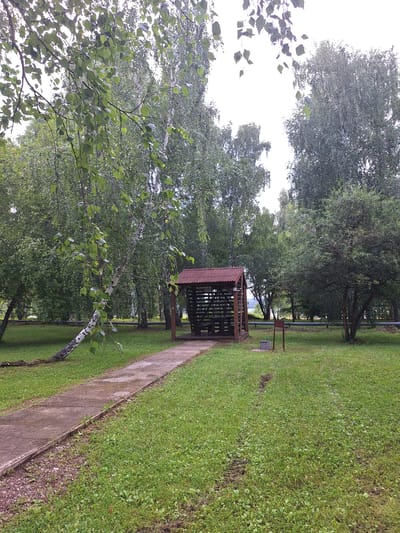 The image depicts an outdoor scene in Atamanovka, Russia, characterized by a park-like setting. A concrete pathway meanders through a grassy area, leading towards a rustic wooden gazebo with a corrugated metal roof. The gazebo appears to be open-sided and contains dark-colored benches. Surrounding the gazebo and pathway are numerous trees, predominantly birch trees with their distinctive white bark, and other deciduous trees with dense green foliage. The ground is covered in lush green grass, with some areas appearing damp. In the foreground, the path is flanked by grass and a strip of gravel. A small metal grill and a grey concrete base are situated to the right of the gazebo. The sky is overcast, suggesting a cloudy day. No people are visible in the image. The overall impression is one of a tranquil, recreational outdoor space.