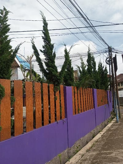 A purple wall with brown wooden planks atop creates a fence lining a gray sidewalk. Tall, slender evergreen trees grow behind the fence. Overhead, multiple power lines crisscross against a cloudy sky. A utility pole stands on the right side of the image, and parts of houses are visible in the background. Small weeds grow at the base of the wall.