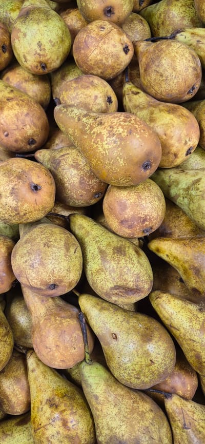The image displays a close-up, overhead view of a large pile of ripe pears. The pears are predominantly a yellowish-green with brown speckling and some areas of blush. They vary in shape, with some being more round and others more elongated. Many of the pears have visible stems or stem indentations. The lighting suggests an outdoor or well-lit indoor setting, highlighting the textures and colors of the fruit. The image composition is tightly cropped, with the pears filling the entire frame and creating a sense of abundance. The specific location in Navalcarnero, Spain is not discernible from the image content alone, as it depicts a generic assortment of fruit. There are no people, actions, or interactions visible in the scene.