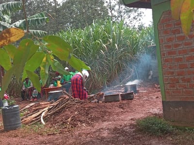 An outdoor scene shows people gathered around a cooking area. Several large pots are placed over a fire, with smoke rising from them. To the left, individuals in green shirts sit and chat around a table. In the foreground, a pile of firewood lies near a black container. A woman wearing a red and blue checkered skirt stands close to the pots. The background is filled with tall green plants and trees, and part of a brick building is visible on the right.