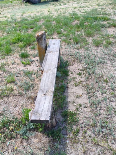 A weathered, rough-hewn wooden plank bench is the primary subject of this outdoor scene, set in a field of sparse, dry grass and sandy soil. The bench is supported by two rough, unhewn log stumps. One log stump is clearly visible supporting the right side of the bench, while the other is partially obscured by the bench and a concrete post on the left. The concrete post is yellowish and appears aged.

The bench itself is a long, splintered plank of wood, showing signs of significant wear and tear. Cracks and uneven surfaces are prominent, indicating exposure to the elements. The wood has a greyish, sun-bleached appearance.

The ground around the bench is a mix of dry, sandy earth and patches of green vegetation, including tall, wispy grasses and smaller, low-lying plants. Some small yellow flowers are scattered amongst the greenery. In the upper left corner of the image, a portion of a large vehicle tire, possibly from a tractor, is visible, suggesting a rural or agricultural setting.

The lighting suggests it is daytime, with a bright sun casting some shadows, though these are not very strong, implying possibly overcast conditions or a high sun. The overall mood is one of simplicity and perhaps a touch of rustic neglect. The location is identified as Matiashivka, Ukraine. No people are visible, and there are no discernible signs of activity or specific events taking place. The scene is static, focusing solely on the bench and its surroundings.