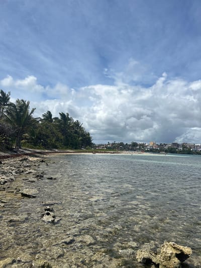 The image depicts a coastal scene in Le Gosier, France. A strip of land with palm trees separates the sky, filled with partly cloudy conditions, from the shallow, clear water meeting a rocky shoreline. In the distance, buildings line the coast. No people are distinctly visible. The image is vertically oriented.