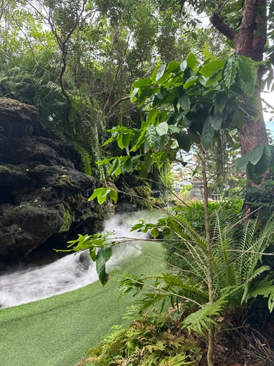The image depicts a lush, green, outdoor environment with a man-made waterfall. The waterfall cascades over dark, moss-covered rocks into a pool of white, misty water. In front of the waterfall is a vibrant green, artificial turf area. The scene is surrounded by dense foliage, including various types of ferns and trees. In the foreground, a young tree with prominent green leaves is visible. The overall impression is of a tranquil, tropical garden or park setting. The location is identified as Ban Na Chom Thian, Thailand.
