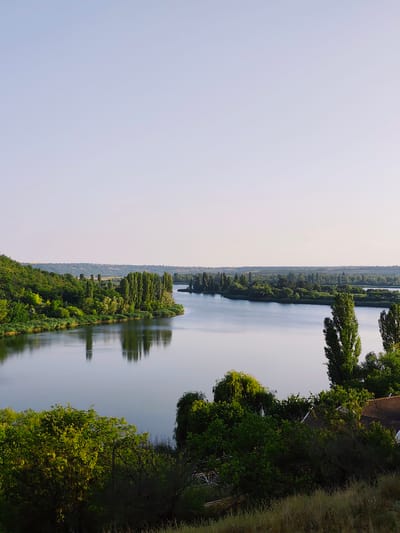 This is a wide shot taken from an elevated perspective of the Nistru River near Goyany, Moldova. The river occupies the lower half of the frame, its surface smooth and reflective, mirroring the sky and the lush green vegetation that lines its banks. The left bank is characterized by a steep, tree-covered hill, its foliage dense and varied. Along the river's edge, reeds and shorter bushes are visible.
The right bank is also heavily wooded, with numerous tall, slender trees dominating the landscape. Some of these trees stand in clusters, while others are more isolated. In the foreground on the right, a portion of a building with a terracotta-tiled roof is partially visible, peeking through the dense green canopy. The background shows a distant, undulating landscape covered in trees and fields, receding into the hazy horizon. The sky is a pale, cloudless blue, transitioning to a lighter shade towards the horizon. The overall impression is one of natural serenity and verdant abundance.