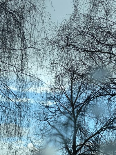 The image displays an upward view through a network of bare tree branches against a partially cloudy sky in Oberhausbergen, France. The sky consists of light blue areas with dispersed white cumulus clouds and sections of pale grey. Several deciduous trees, silhouetted in dark tones, dominate the frame. On the left, a tree with numerous slender, drooping branches, exhibiting small dark catkins or buds, extends from the top and left edges. On the right and center, a different tree type presents thicker, more robust, and upward-reaching branches, also devoid of foliage. A faint, translucent white haze or smearing is present in the lower right quadrant of the image. No individuals, animals, or artificial structures are discernible.