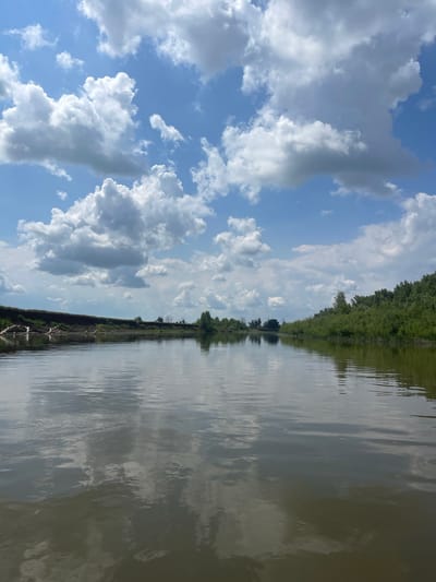The image depicts a serene river scene with a wide expanse of calm water reflecting the bright blue sky and fluffy white clouds. The left bank of the river is lined with dry, weathered logs and a steep, earthy embankment covered in sparse green vegetation. Further along the left bank, a line of trees is visible. The right bank of the river is densely covered with lush green trees and foliage, extending into the distance. The water itself is a murky brown color, with subtle ripples disturbing the reflection of the sky. The scene appears to be a natural landscape, likely in a rural or undeveloped area. While the location is stated to be in the city of Nezhinka, Russia, no specific landmarks or structures that would definitively identify this location are visible in the image. The overall impression is one of tranquility and natural beauty on a sunny day.