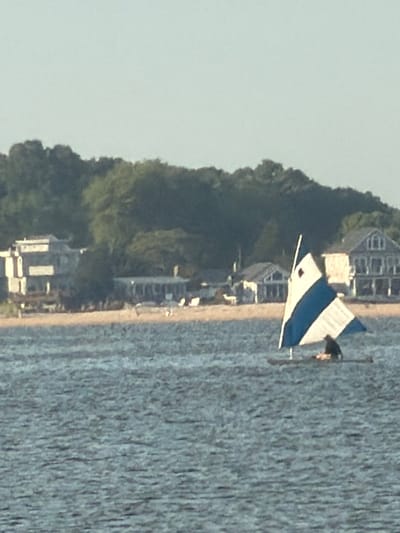 A small sailboat with blue and white sails is on the water in Flanders, United States of America. The boat appears to be a catamaran or trimaran style with a person sitting on it. In the background, there is a sandy beach with trees and several houses visible. The water is calm with small ripples, and the sky is clear. The overall scene suggests a peaceful day on the water near a coastal community.