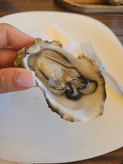 In Jošice, Montenegro, a hand with manicured nails holds an opened oyster over a white plate. A fork is visible in the background on the plate. The oyster is glistening with its natural liquor, and the dark mantle is clearly defined. The lighting suggests an outdoor setting, possibly a restaurant patio, with a wooden surface visible beyond the plate.