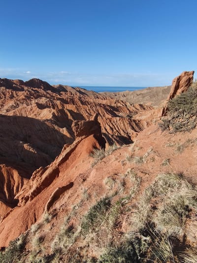 This outdoor wide shot captures a stunning natural landscape, likely the Skazka Canyon (Fairytale Canyon) near Tosor, Kyrgyzstan. The scene is dominated by dramatic, deeply eroded red-orange sandstone formations that stretch across the midground and foreground, creating a rugged and intricate topography of sharp ridges, deep gullies, and layered peaks. The vibrant red earth is characteristic of arid regions and gives the landscape a striking appearance. Sparse, dry grass and low-lying scrub dot the slopes and ledges in the foreground and midground, adding texture and subtle hints of life to the otherwise barren terrain.
In the far distance, a calm, expansive body of blue water, which is Issyk-Kul Lake, meets the horizon under a clear, bright blue sky. A few faint, wispy clouds are visible near the distant horizon line. The clear sky and distinct shadows suggest a sunny day, likely mid-morning or late afternoon, with the sunlight highlighting the contours and varied shades of the red rock. No human activity, structures, or discernible text are visible, emphasizing the raw, untamed beauty and solitude of this natural wonder. The image conveys a sense of grandeur and the powerful forces of erosion that shaped this unique environment.