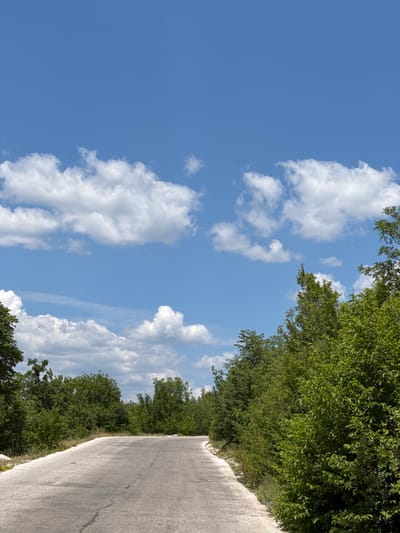 A paved road curves to the left, bordered by dense green foliage on the right and sparser vegetation and trees on the left. The road surface is gray and shows some wear and tear. The sky above is a vibrant blue, punctuated by scattered white cumulus clouds. The scene is likely a rural or suburban area on the outskirts of Nikšić, Montenegro, given the natural landscape and open sky. No people or specific actions are depicted. The environment suggests a clear, sunny day.