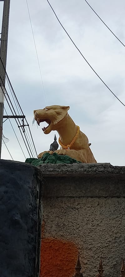 A low-angle shot in Ban Thung, Thailand, reveals a tan-colored lion statue with an open mouth and bared teeth, adorned with a yellow garland around its neck. The statue is positioned on a structure that is part of a building, visible on the right side of the frame. The structure's surface is textured and painted in gray and white, with some orange paint visible as well. To the left of the statue, power lines stretch across the sky, which is a muted light blue. Part of a building with a white awning is visible in the lower left corner of the frame. A statue of Buddha is visible near the lion statue.
