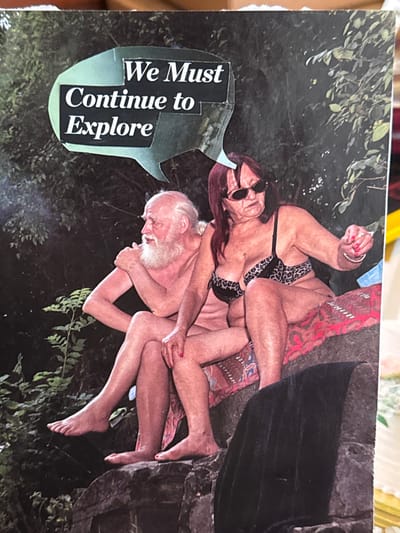 An older man with a white beard and an older woman wearing a leopard-print bikini and sunglasses are entangled in an embrace. They are superimposed onto a dark, shadowy background of foliage. A speech bubble containing the words "We Must Continue to Explore" is positioned near the couple. A red patterned cloth and a dark material partially obscures their intertwined legs. The image appears to be a collage.