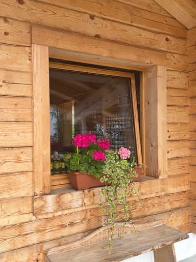 The image shows a close-up view of a wooden window frame on a log cabin, with potted plants on the windowsill and a wooden bench in front of it. The window is made of wood and has a glass pane. On the windowsill, there is a brown plastic pot containing pink and red geraniums, and a trailing plant with green and white leaves. Behind the plants, the reflection in the window shows shelves stocked with jars. The exterior of the cabin is made of light-colored wood planks. A rustic wooden bench with a weathered finish is positioned below the window. The scene is likely in Lateis / Latais, Italy, given the architectural style often found in alpine regions of Italy. There are no people present in the image.