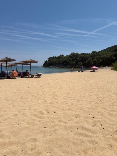 This image captures a wide-angle view of a sandy beach in Olympiada, Greece, under a clear, bright blue sky with numerous intersecting white aircraft contrails. The foreground is dominated by golden, fine-grained sand, showing subtle undulations, scattered small dark debris, and faint footprints.
In the midground, toward the left, a cluster of four thatched beach umbrellas is visible, each shading blue reclining beach chairs. Beneath these umbrellas, at least four individuals are present; one person wearing an orange/brown top is seen from behind, facing the sea, while others are partially obscured or also facing away. To the right of this group, further down the beach, multiple individuals are scattered across the sand. One person lies prone under a small blue umbrella, while another stands near the water's edge in a dark swimsuit. Further to the right, two people are situated under a bright pink umbrella, and another person is seen lying on the sand without an umbrella. A light blue umbrella is also visible in the distance.
The background features the calm, clear turquoise waters of the sea, which transitions to a deeper blue further from the shore. On the left side, a rocky headland covered in dense green Mediterranean vegetation extends into the water. The entire coastline behind the beach is flanked by lush, green, forested hills rising gently. The overall scene conveys a sunny, leisurely day at the beach.