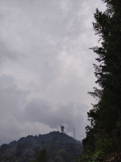 The image displays a panoramic view of a densely forested hill under an overcast sky in Staufenberg, Germany. The upper half to two-thirds of the frame is dominated by a uniform expanse of gray, cloudy sky. On the crest of the central hill, the Staufenberg Tower, a prominent multi-tiered communication or observation tower with a light-colored, possibly concrete or metal structure, stands. To the immediate right and slightly below the main tower, a slender, darker metallic lattice mast is also visible. The foreground along the right edge of the frame is occupied by a dense cluster of dark green tree foliage, partially obscuring the view. The remainder of the hill is covered in continuous, dark green forestation. No individuals, animals, or specific actions are depicted.
