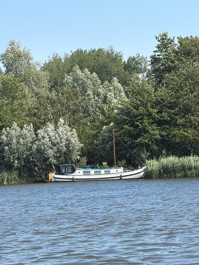 In Gellicum, Netherlands, a white houseboat with a dark canopy is moored on the calm, blue water. The boat is positioned near the shore, which is lined with lush green trees and reeds. The sky above is clear and blue.