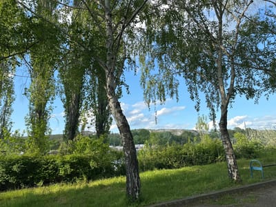 The image depicts a park-like setting in Beloslav, Bulgaria. In the foreground, there is a grassy area with trees, primarily birch trees with white bark, and bushes. The sky is blue with scattered white clouds. In the background, a landscape with green hills and a glimpse of a body of water can be seen. A pale blue bench leg is partly visible on the right side of the frame. No people or subjects are visible. The scene appears to be a natural environment within the city.