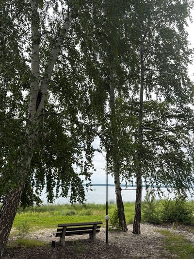 The image depicts a serene outdoor scene near a body of water. The foreground is dominated by the lush green foliage of several large birch trees, their distinctive white bark visible. In the mid-ground, a wooden park bench is situated on a gravel path, accompanied by a lamppost. Beyond the bench, a narrow strip of vibrant green grass leads to the calm, blue water of a lake or river. The water's surface reflects the overcast sky, suggesting a cloudy or partly cloudy day. The distant shoreline is lined with more greenery, including a small pine tree. The overall atmosphere is peaceful and natural, likely captured during the daytime. The scene evokes a sense of tranquility and offers a place for rest and contemplation in a natural setting. There is no visible text in the image.