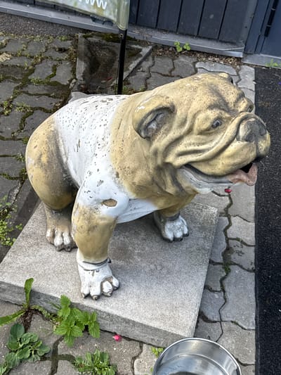 The image shows a weathered statue of a bulldog, primarily in beige and white, positioned on a concrete slab. The statue is located outdoors on a cracked, grey paver stone surface with patches of moss and small green plants growing in the crevices. A metal dog bowl is visible in the lower right corner of the frame. In the background, a dark wooden fence and a section of pavement are present. A partially visible sign with text that appears to read "WWW" is mounted on a pole behind the statue. The scene suggests an outdoor setting in Tabasalu alevik, Estonia, possibly a yard or public space.