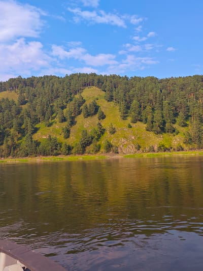 A serene natural landscape unfolds, with a dense forest of pine trees covering a sloping hillside. The trees are lush and green, creating a textured canopy that stretches across the frame. Patches of sunlit grass and rocky outcrops break through the forest, adding variation to the terrain. Below the hill, a calm river flows, its surface reflecting the verdant trees and the bright blue sky dotted with scattered white clouds. The lower portion of the image shows the edge of what appears to be a boat or raft, with a wooden railing in the foreground, suggesting a vantage point from the water. The scene evokes a sense of tranquility and natural beauty, typical of rural areas such as Beregovaya-Podemnaya, Russia.