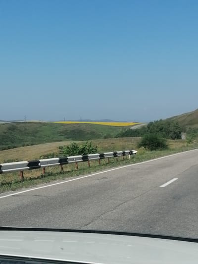 The image captures a roadside view on a clear day. A paved road runs diagonally from the bottom right towards the center left of the frame, bordered by a white and black striped guardrail. Beyond the guardrail, the landscape consists of rolling green hills, some with patches of dry grass. In the distance, a vast field of yellow flowers, likely sunflowers, stretches across the horizon. Two utility poles are visible in the far distance, standing against the pale blue sky. The scene appears to be a rural area, possibly on the outskirts of Severnoe, Kazakhstan, given the presence of agricultural fields. No people are visible in the image.