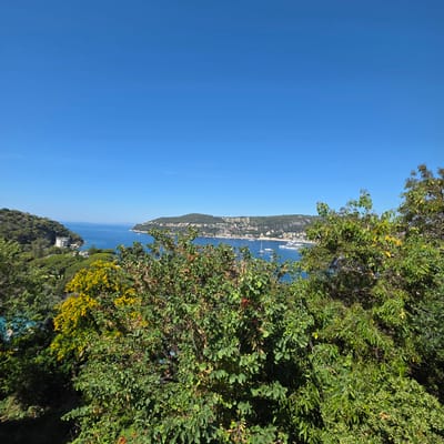 This is a wide-angle, eye-level shot of a bay with a clear blue sky above. In the foreground, lush green trees with some yellow blossoms dominate the lower portion of the image, partially obscuring the view of the water and the town. In the middle ground, the blue water of the bay is visible, with several boats anchored, including a large white yacht. Along the coastline, a densely populated town with white buildings climbs up a hillside, surrounded by green vegetation. The town appears to be situated in a bay with a rocky shoreline and a developed port area. The overall impression is a sunny day with a panoramic view of a coastal town in a Mediterranean setting, likely Saint-Jean-Cap-Ferrat, France, given the characteristic architecture and landscape.