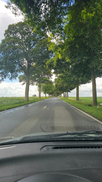 The image captures a first-person perspective from inside a vehicle, looking out onto a straight, tree-lined asphalt road. The scene is set in a rural area, identified as Thuin, Belgium.
The primary subjects are the road, the abundant green trees, and the surrounding fields. The asphalt road, marked with a faint white dashed line down its center, stretches into the distance, appearing slightly damp or reflective. A double row of mature trees, with dense green foliage, flanks both sides of the road, forming a natural avenue. Their canopies largely cover the sky overhead, allowing patches of bright sunlight and blue sky with scattered white clouds to peek through. Beyond the trees, on either side, vast green agricultural fields extend to the horizon under a partly cloudy sky, with a solitary tree visible in the distant field on the left.
In the foreground, on the right side of the image, the dark gray dashboard and windshield frame of the vehicle are visible, including an air vent, indicating the photo was taken from within a car, likely while moving or stopped momentarily.
The activity taking place is a drive through a scenic countryside. The time of day appears to be daytime, with bright sunlight suggesting morning or afternoon. The weather is clear and sunny with some clouds. No people or visible text are present in the image. The overall impression is one of a calm and pleasant journey through nature.